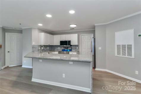 18563 Vineyard Point Lane Cornelius NC 28031