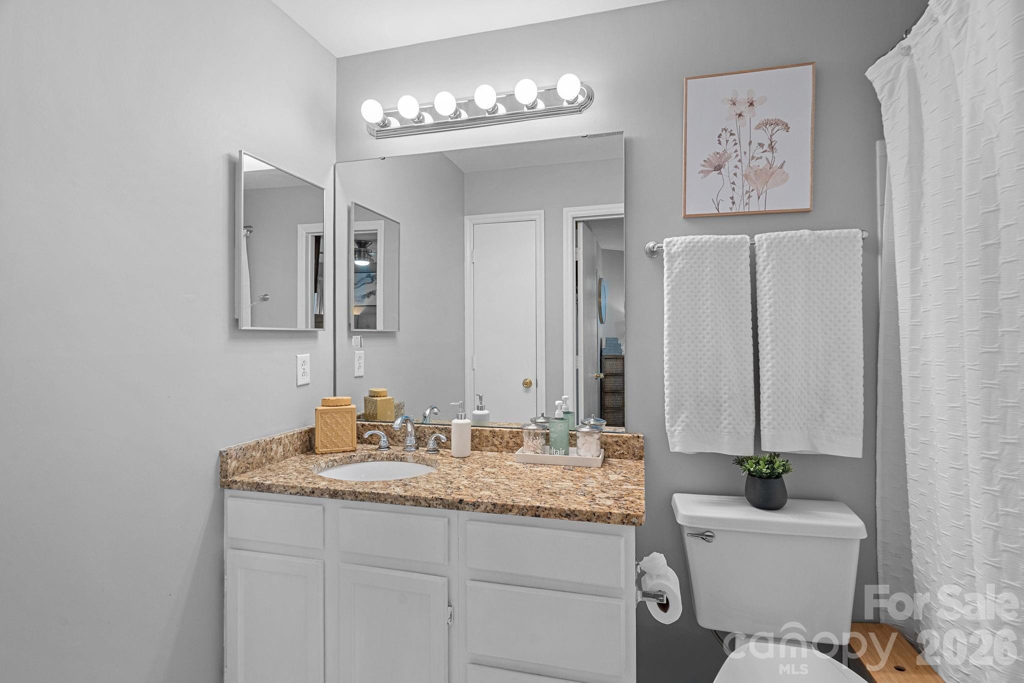 18845 Vineyard Point Lane Cornelius NC 28031