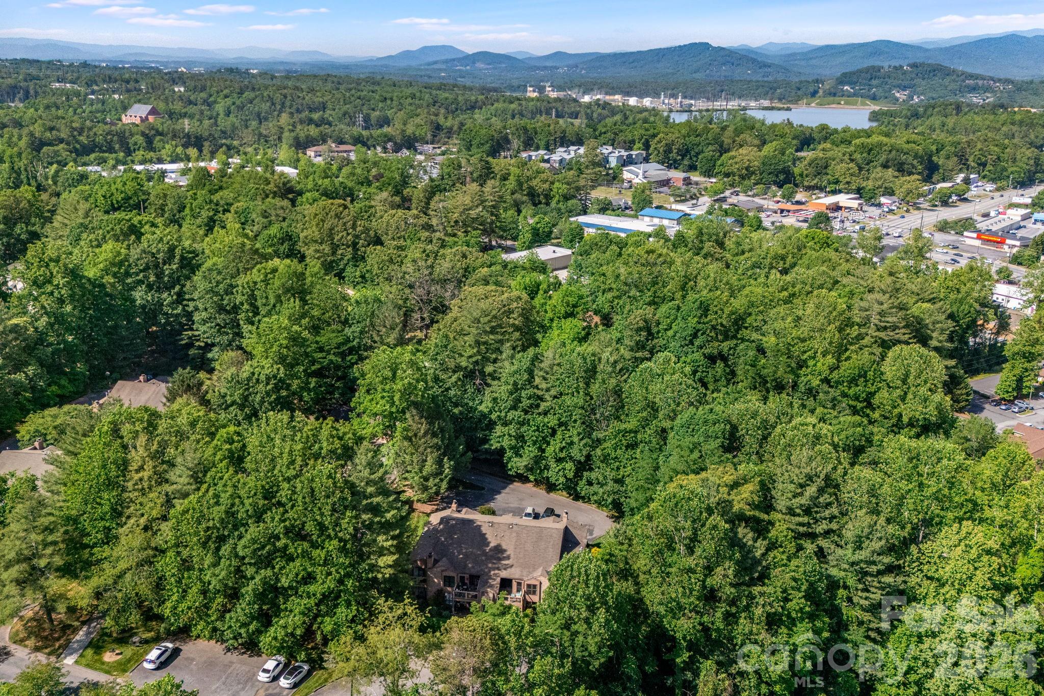 60 Ravencroft Lane Asheville NC 28803