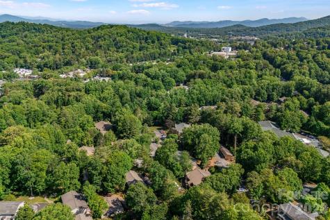 60 Ravencroft Lane Asheville NC 28803