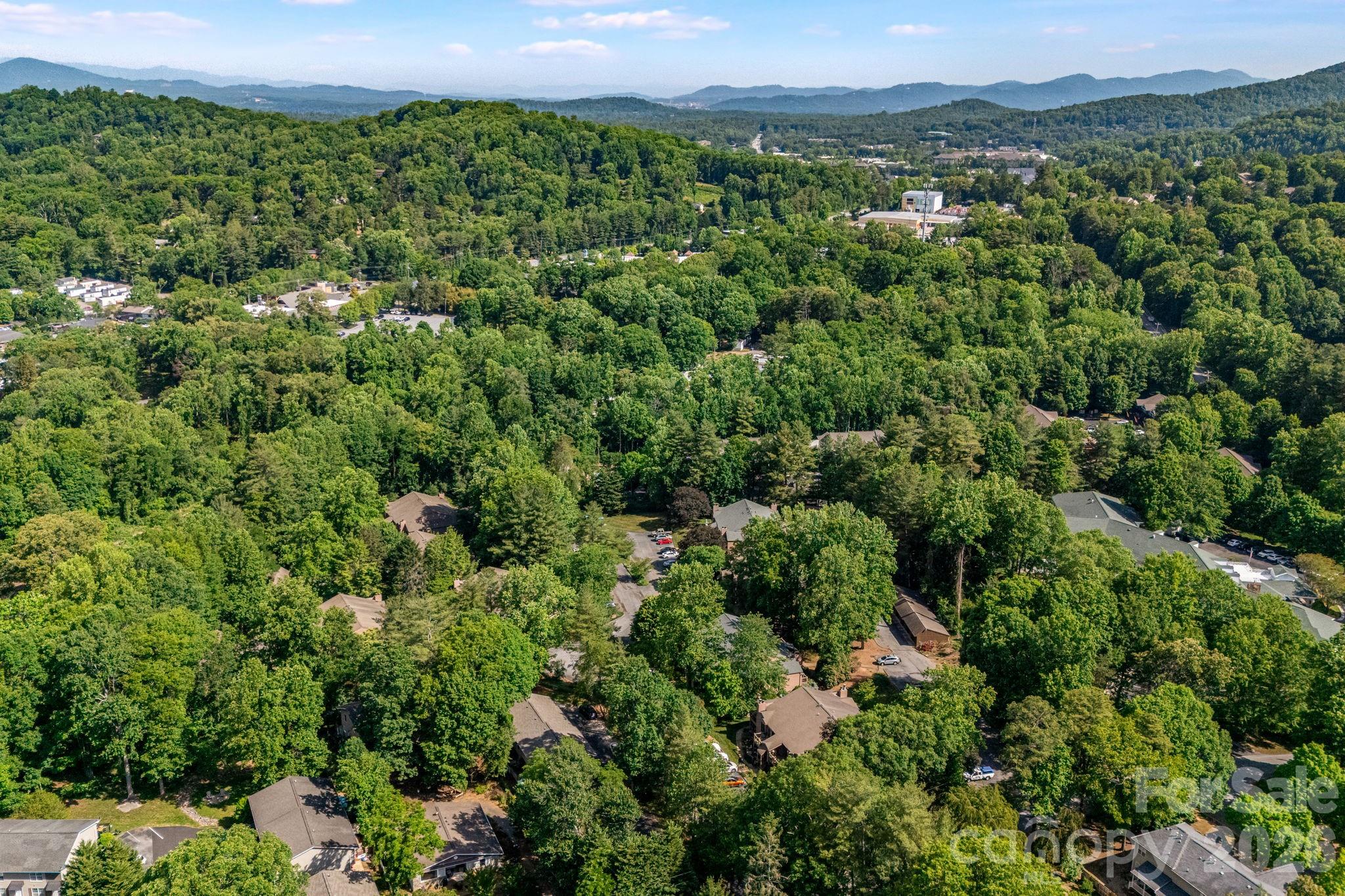 60 Ravencroft Lane Asheville NC 28803