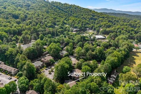 60 Ravencroft Lane Asheville NC 28803