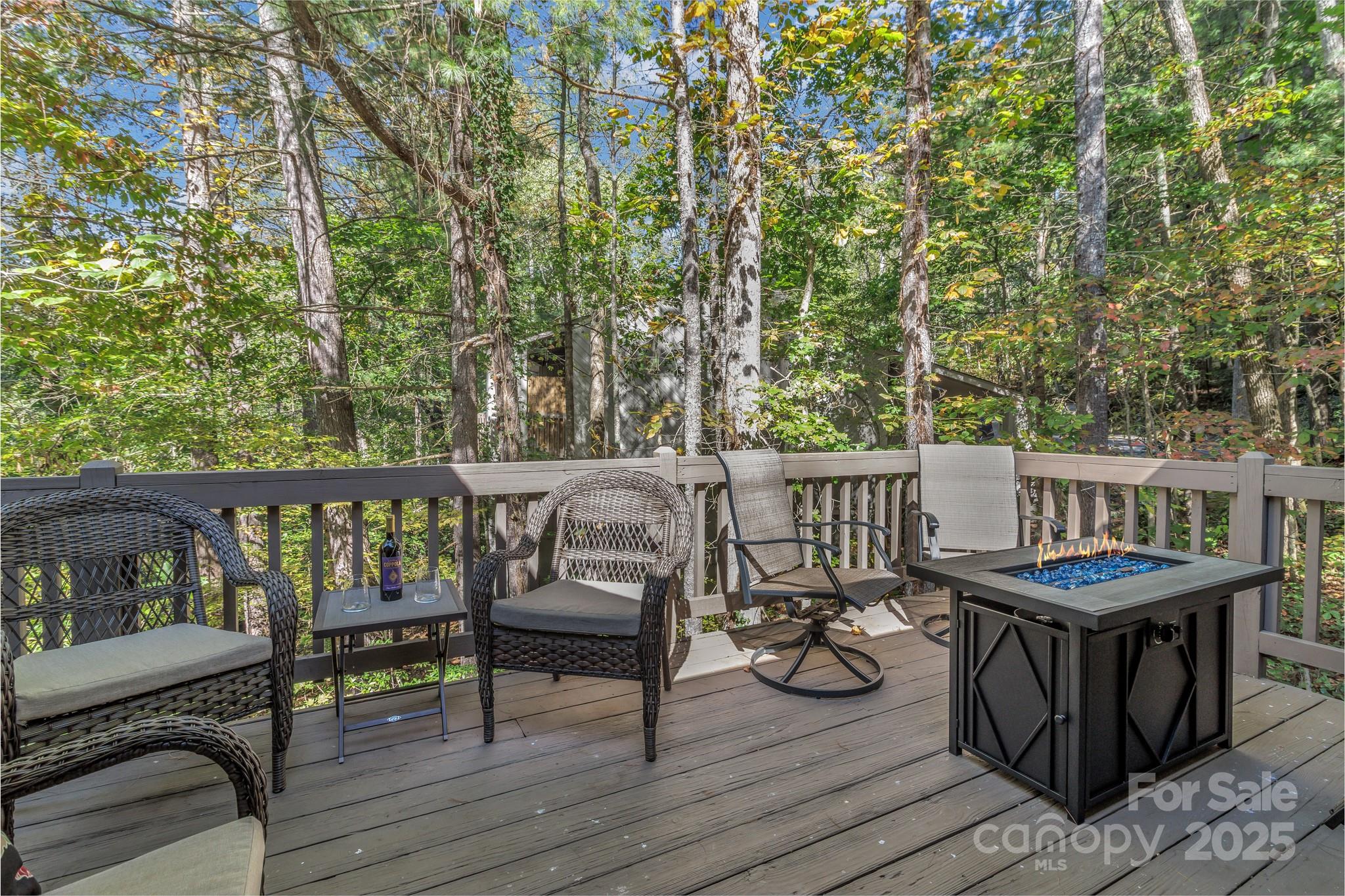 23 Cedarwood Trail Asheville NC 28803