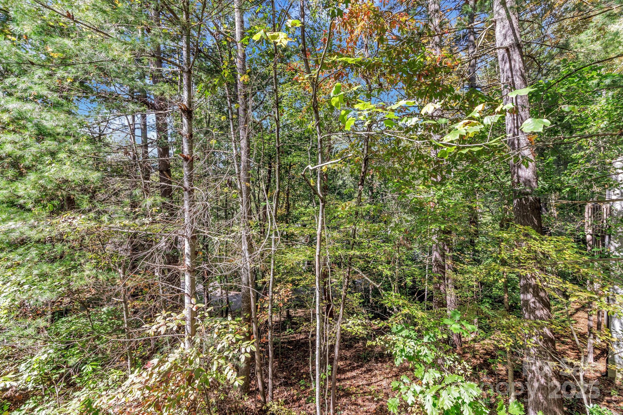 23 Cedarwood Trail Asheville NC 28803