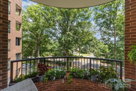 830 Cherokee Road Charlotte NC 28207