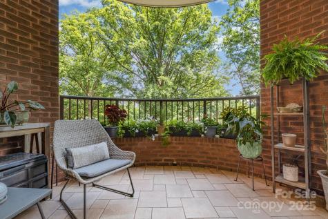 830 Cherokee Road Charlotte NC 28207