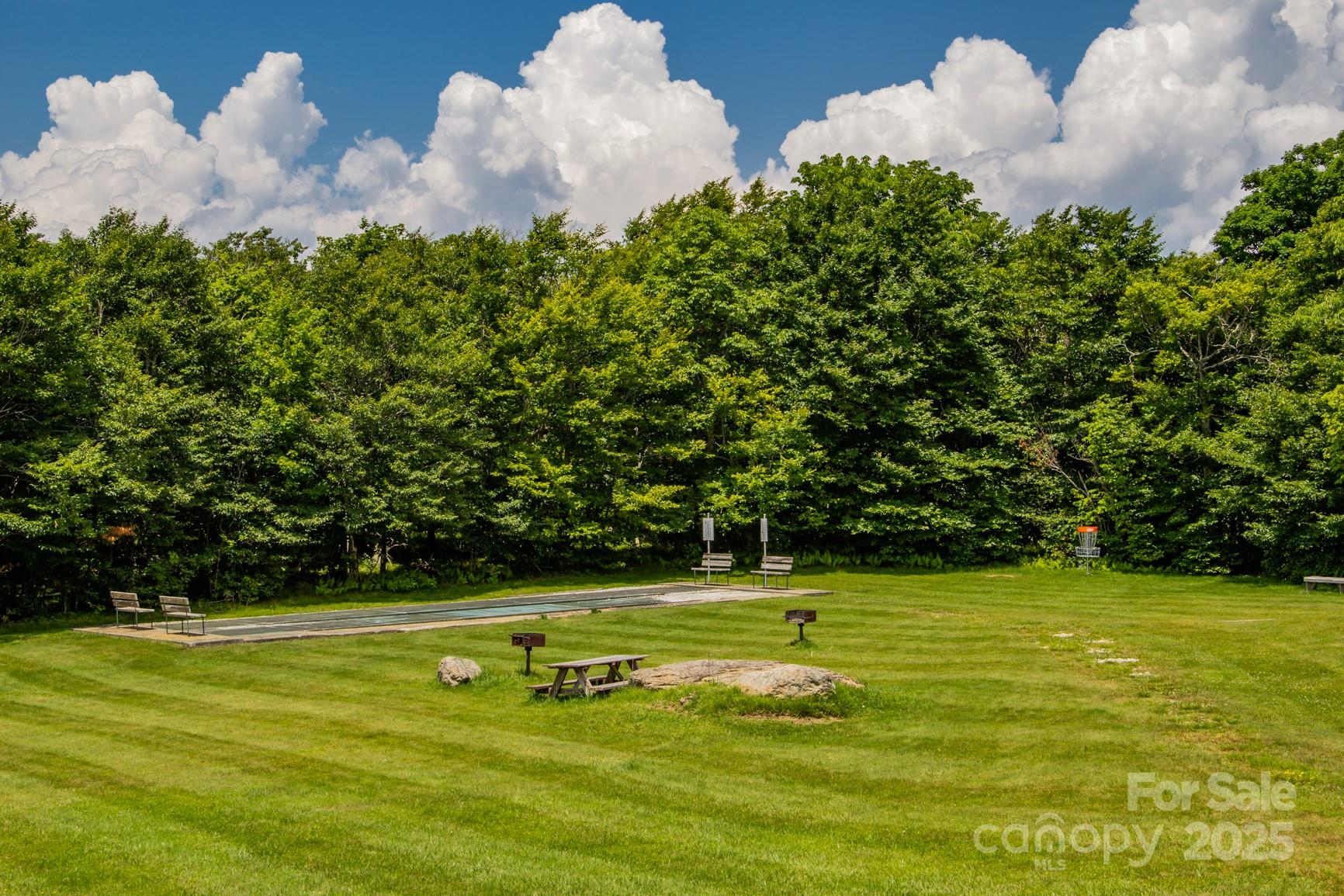 301 Pinnacle Inn Road Beech Mountain NC 28604