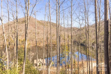 103 Southshore Drive Tuckasegee NC 28783