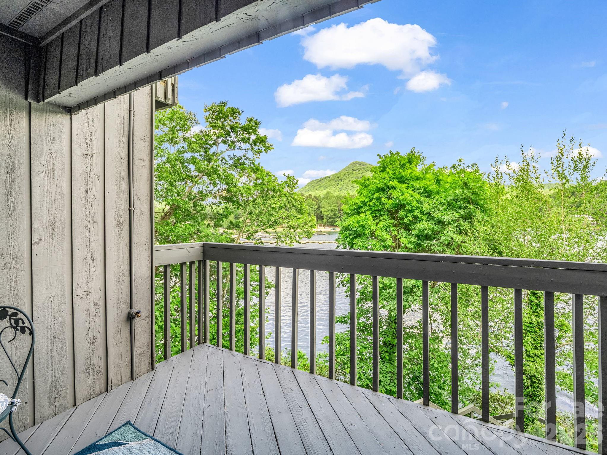 176 Quail Cove Road Lake Lure NC 28746