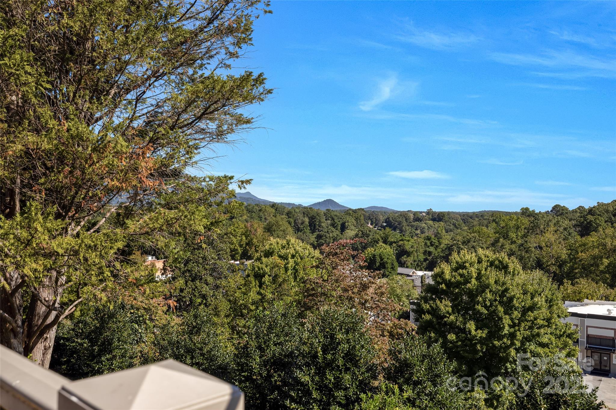 77 Chestnut Street Tryon NC 28782