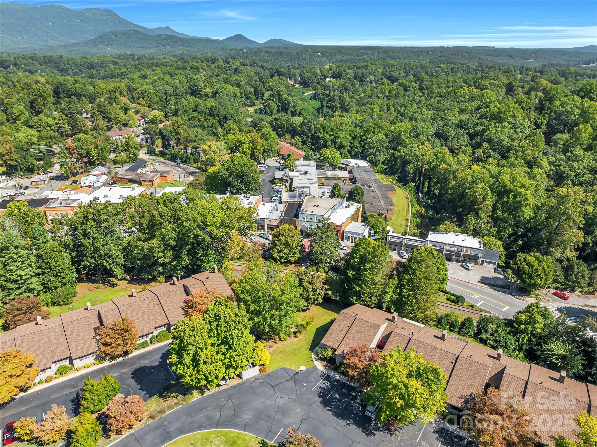 77 Chestnut Street Tryon NC 28782