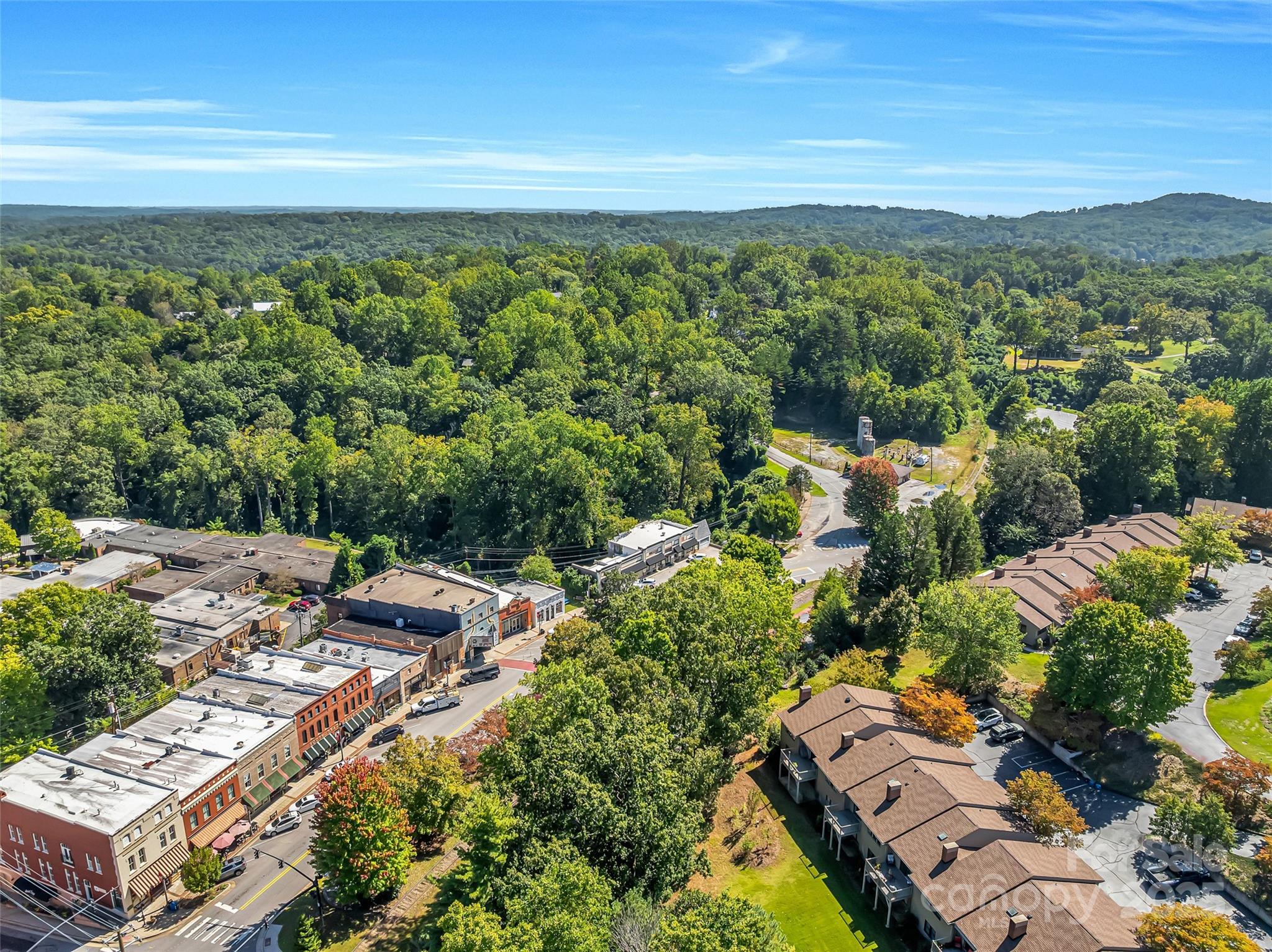 77 Chestnut Street Tryon NC 28782