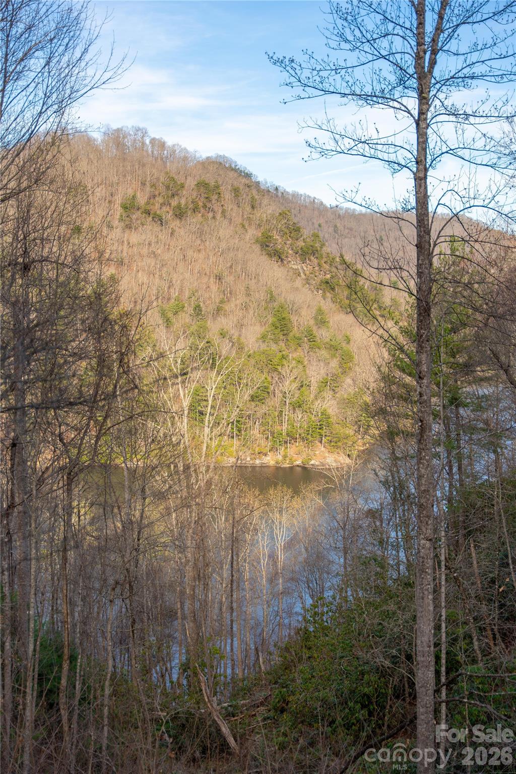 100 Saddle Notch Lane Tuckasegee NC 28783