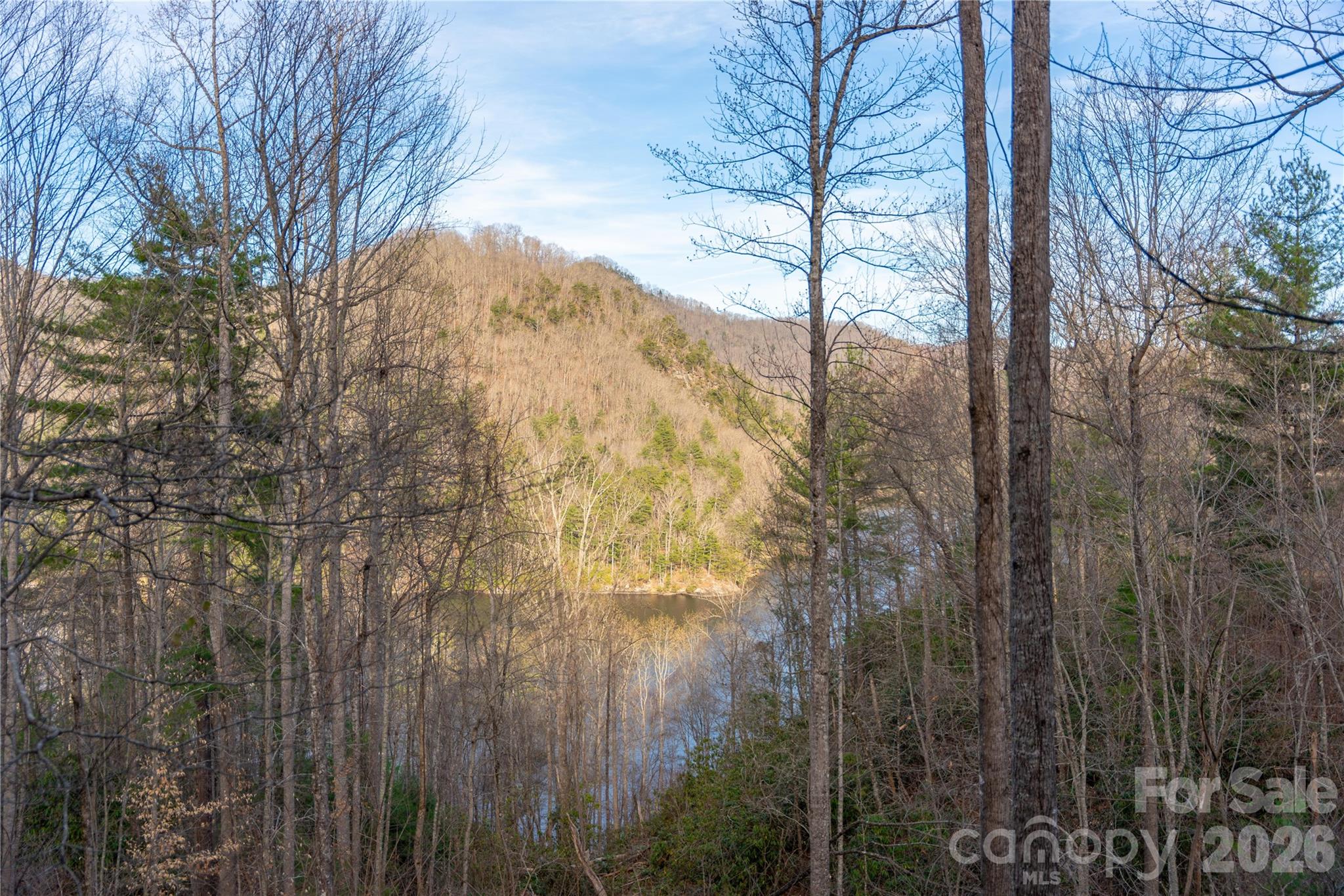 100 Saddle Notch Lane Tuckasegee NC 28783