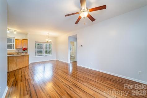 10 Northbrook Place Asheville NC 28804
