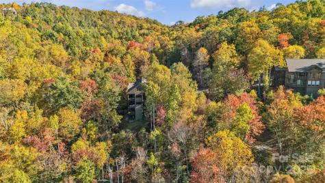 89 Springhouse Drive Elk Park NC 28622