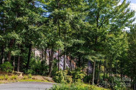 30 Lower Tanglewood Road E Lake Toxaway NC 28747