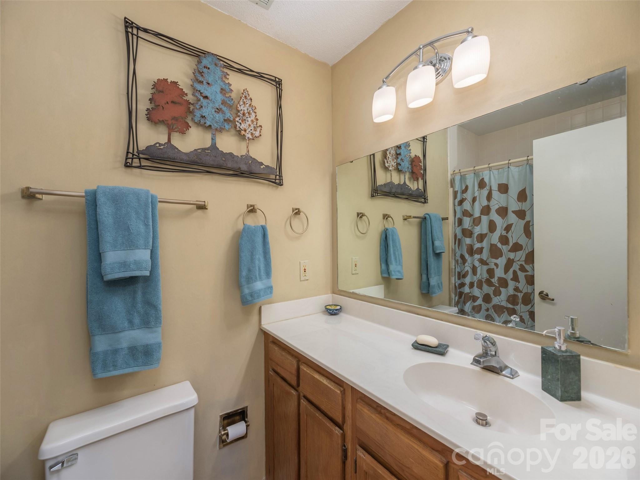 155 Tri Vista Drive Lake Junaluska NC 28745