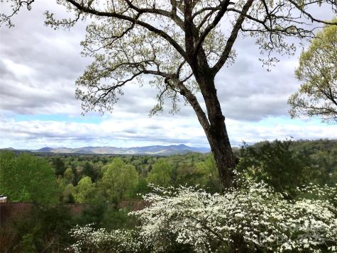 305 Piney Mountain Drive Asheville NC 28805