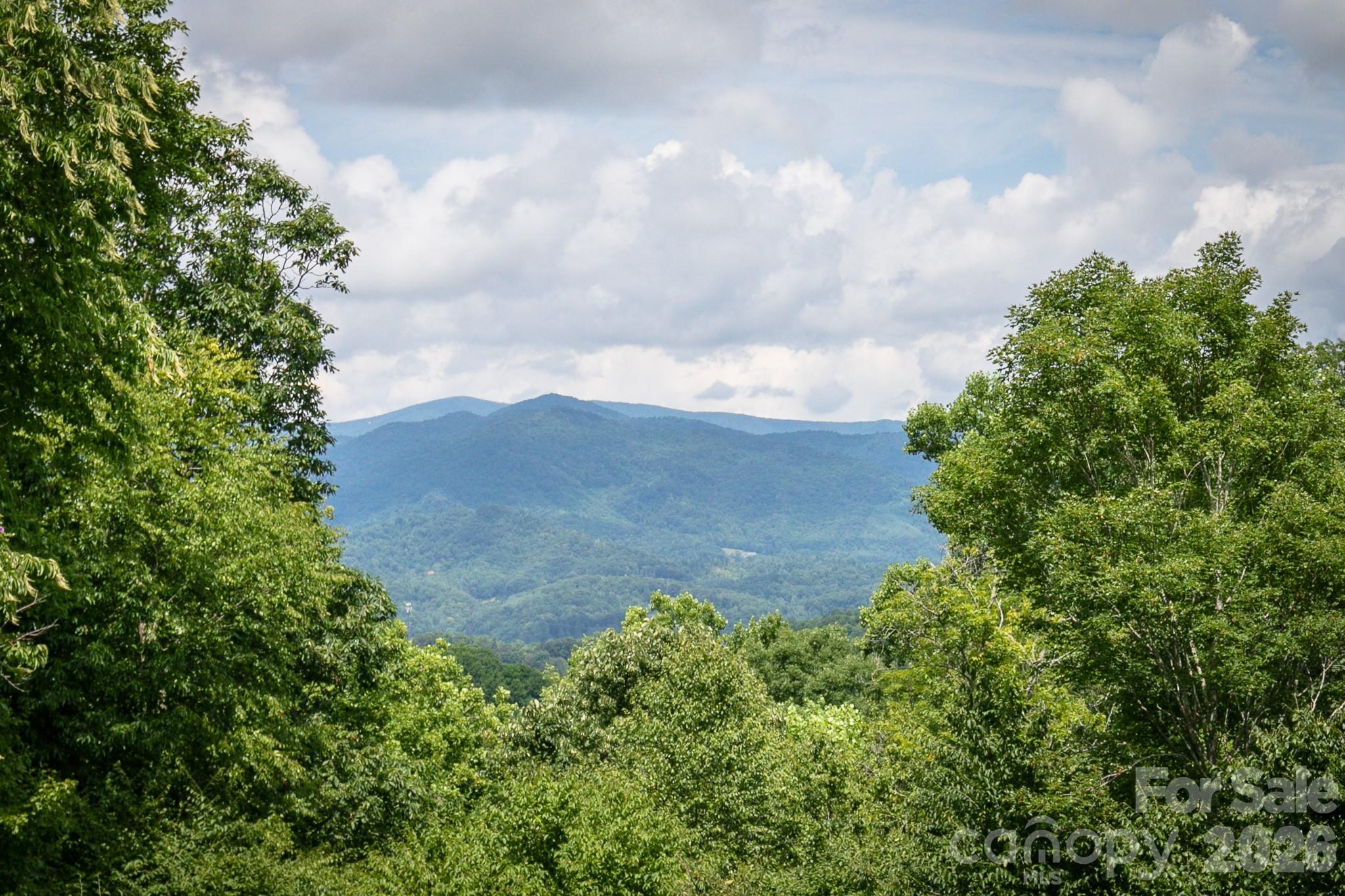 222 Creekside Way Burnsville NC 28714