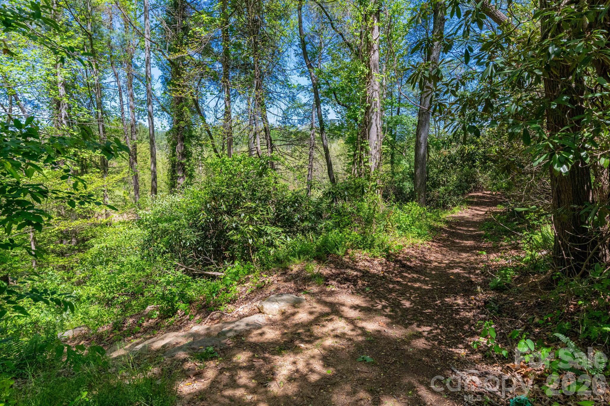 400 Vista Lake Drive Candler NC 28715
