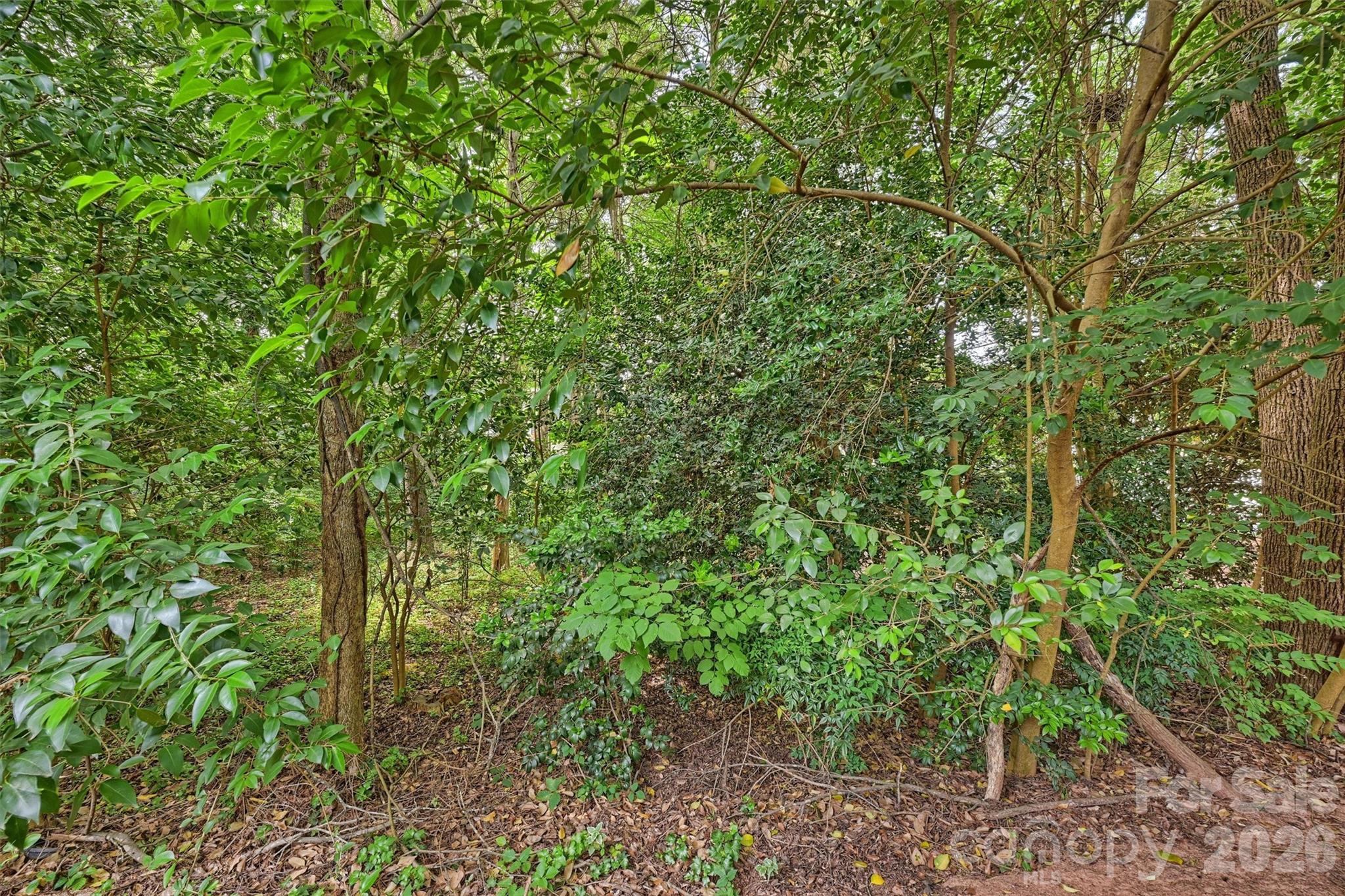 3131 Heathstead Place Charlotte NC 28210