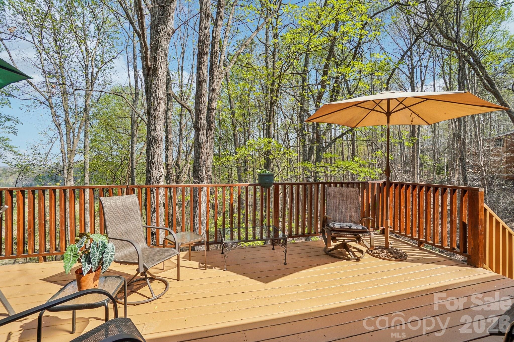 409 Whitney Boulevard Lake Lure NC 28746