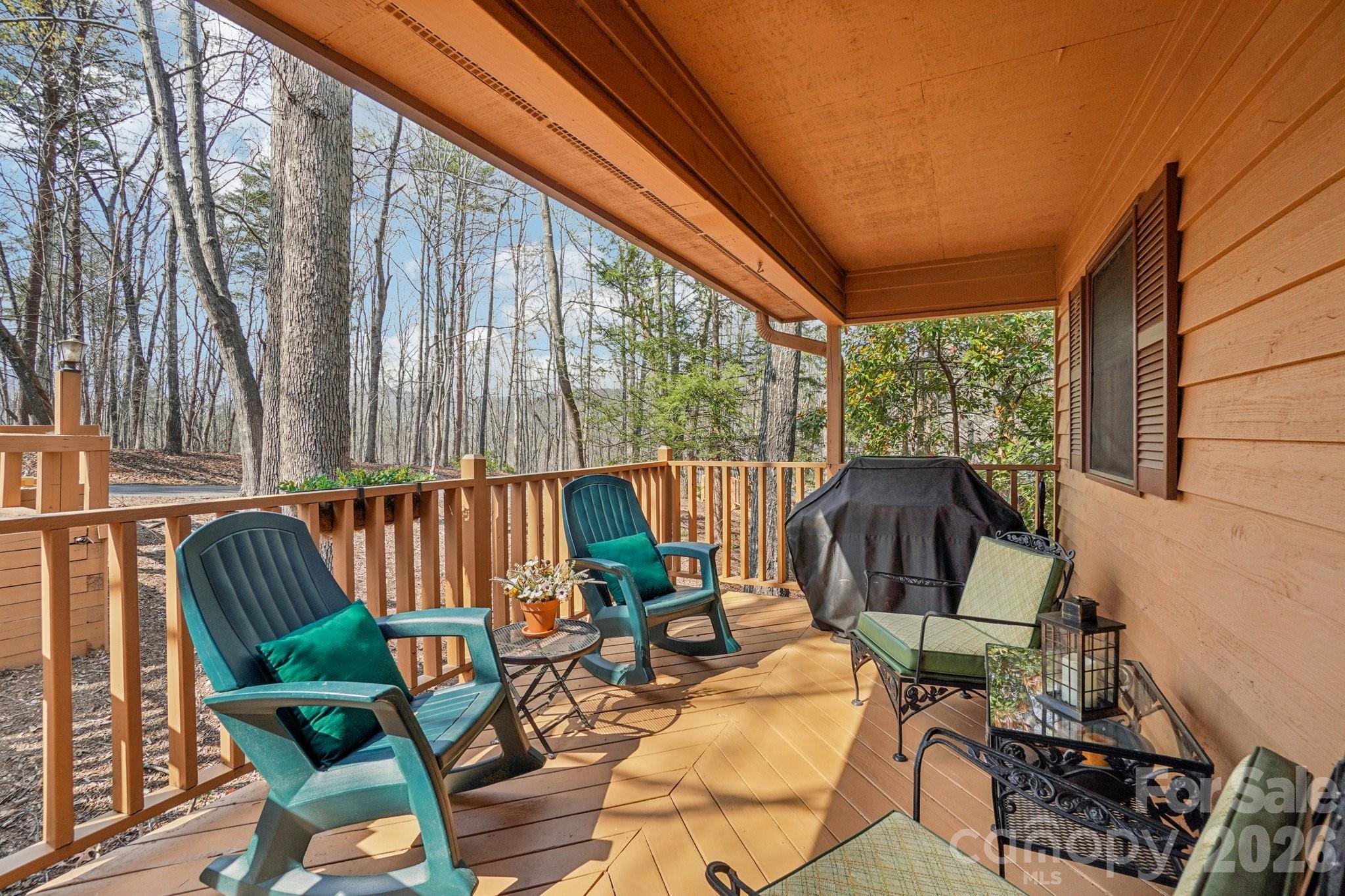 409 Whitney Boulevard Lake Lure NC 28746
