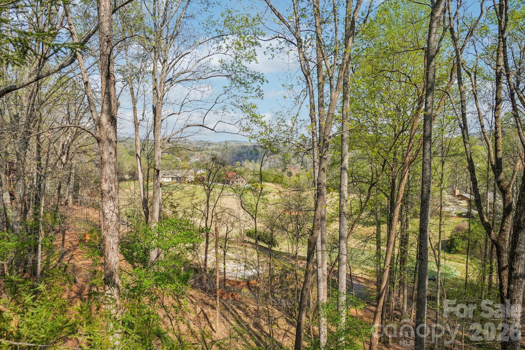 409 Whitney Boulevard Lake Lure NC 28746