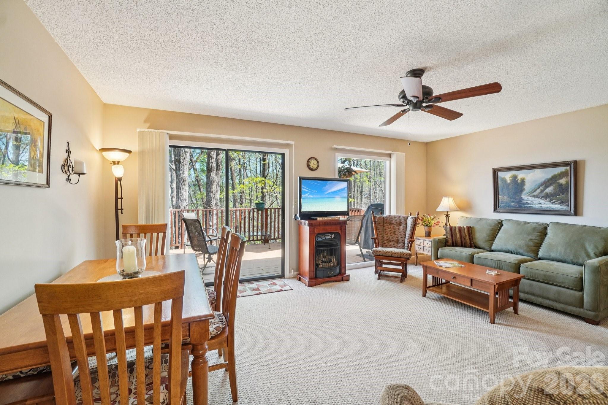 409 Whitney Boulevard Lake Lure NC 28746
