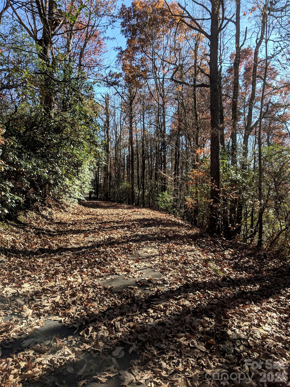 157 Toxaway Views Drive Lake Toxaway NC 28747