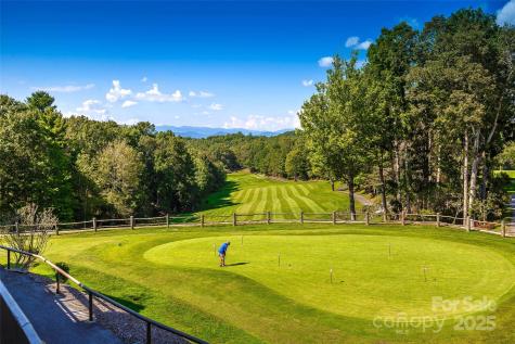 216 Tinequa Drive Brevard NC 28712