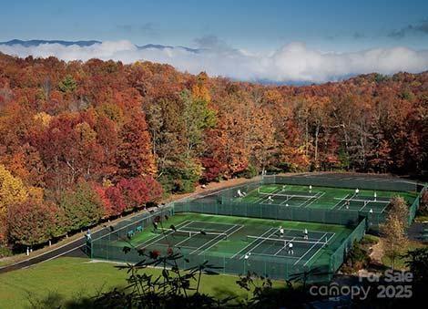 216 Tinequa Drive Brevard NC 28712