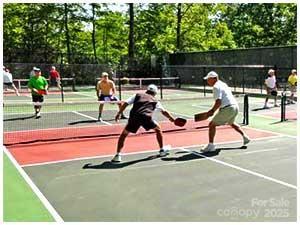 216 Tinequa Drive Brevard NC 28712