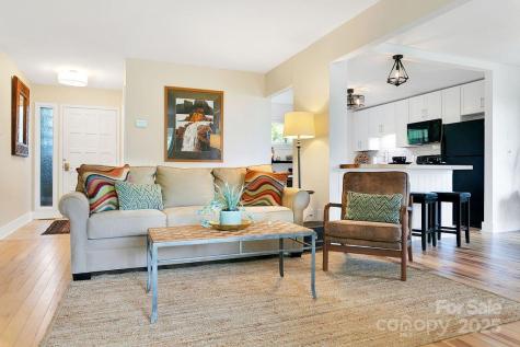 216 Tinequa Drive Brevard NC 28712