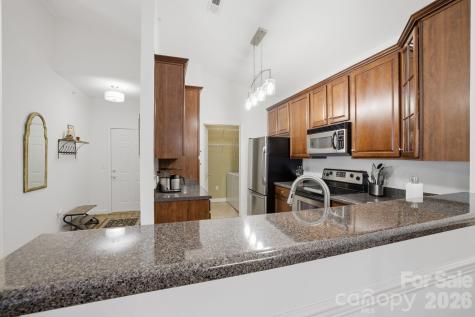 16917 Doe Valley Court Cornelius NC 28031