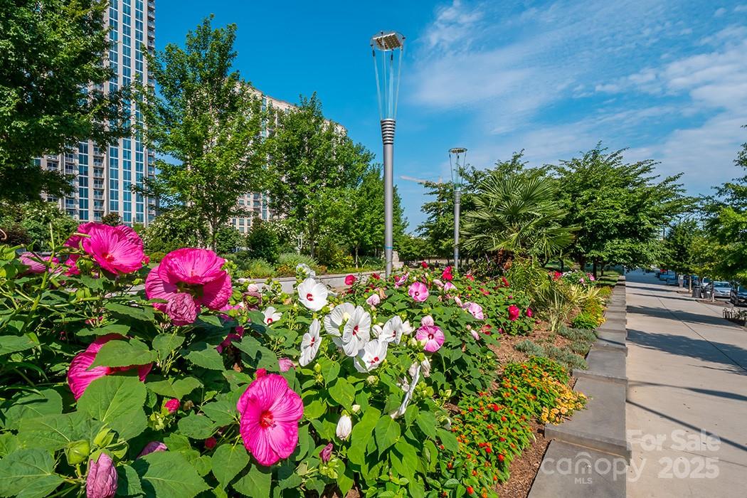 525 E Sixth Street Charlotte NC 28202