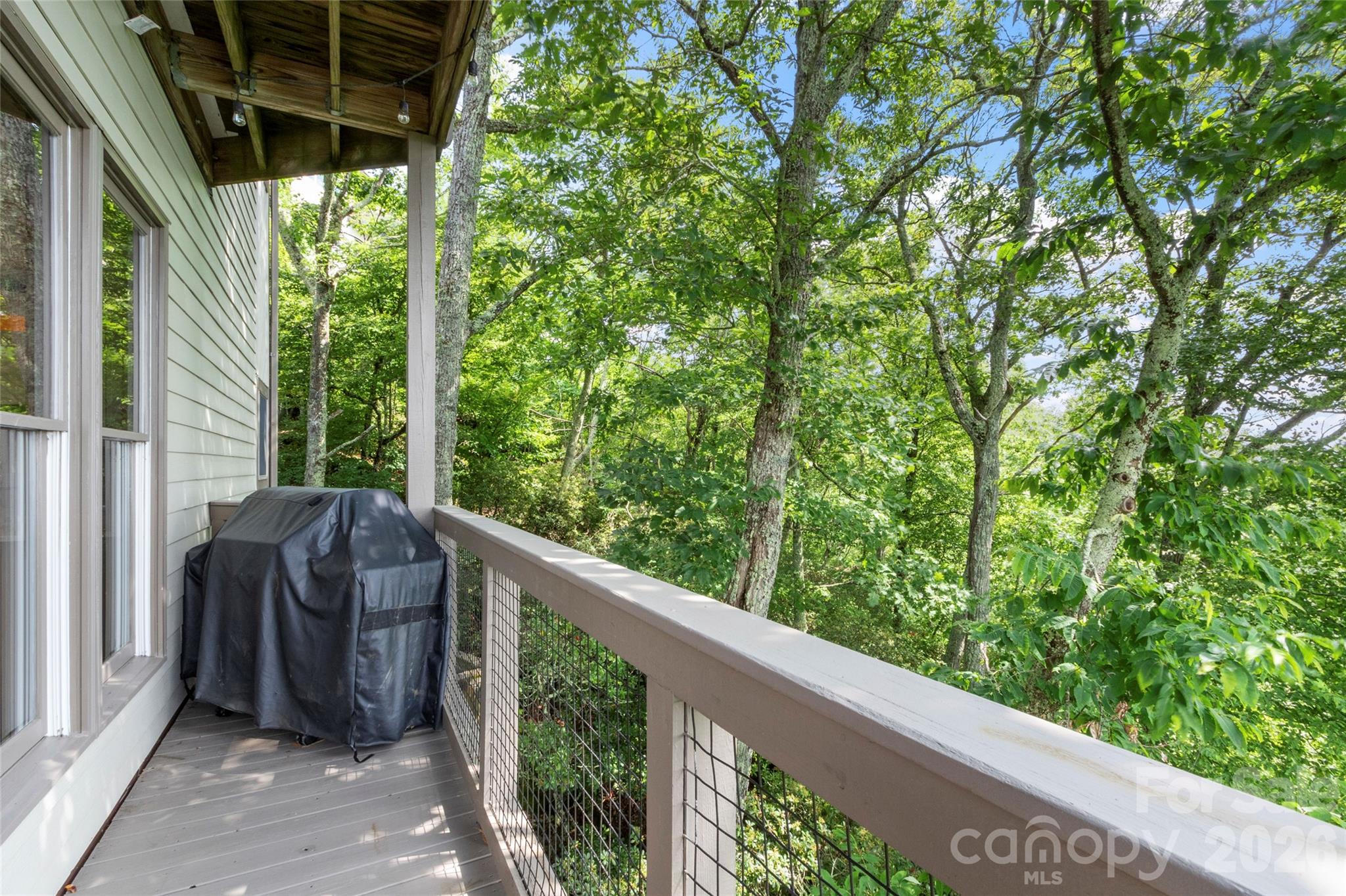 66 Club Villa Court Burnsville NC 28714