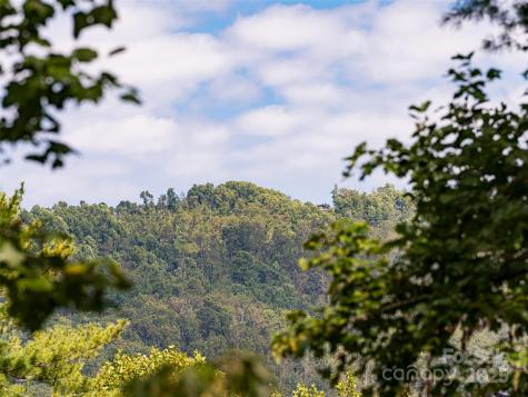 1302 Timber Trail Asheville NC 28804