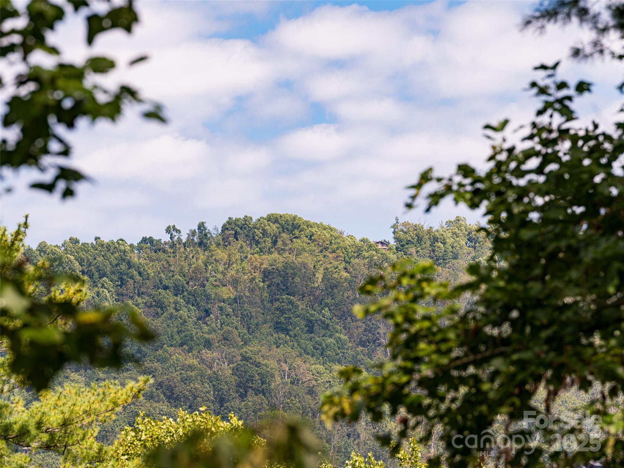 1302 Timber Trail Asheville NC 28804