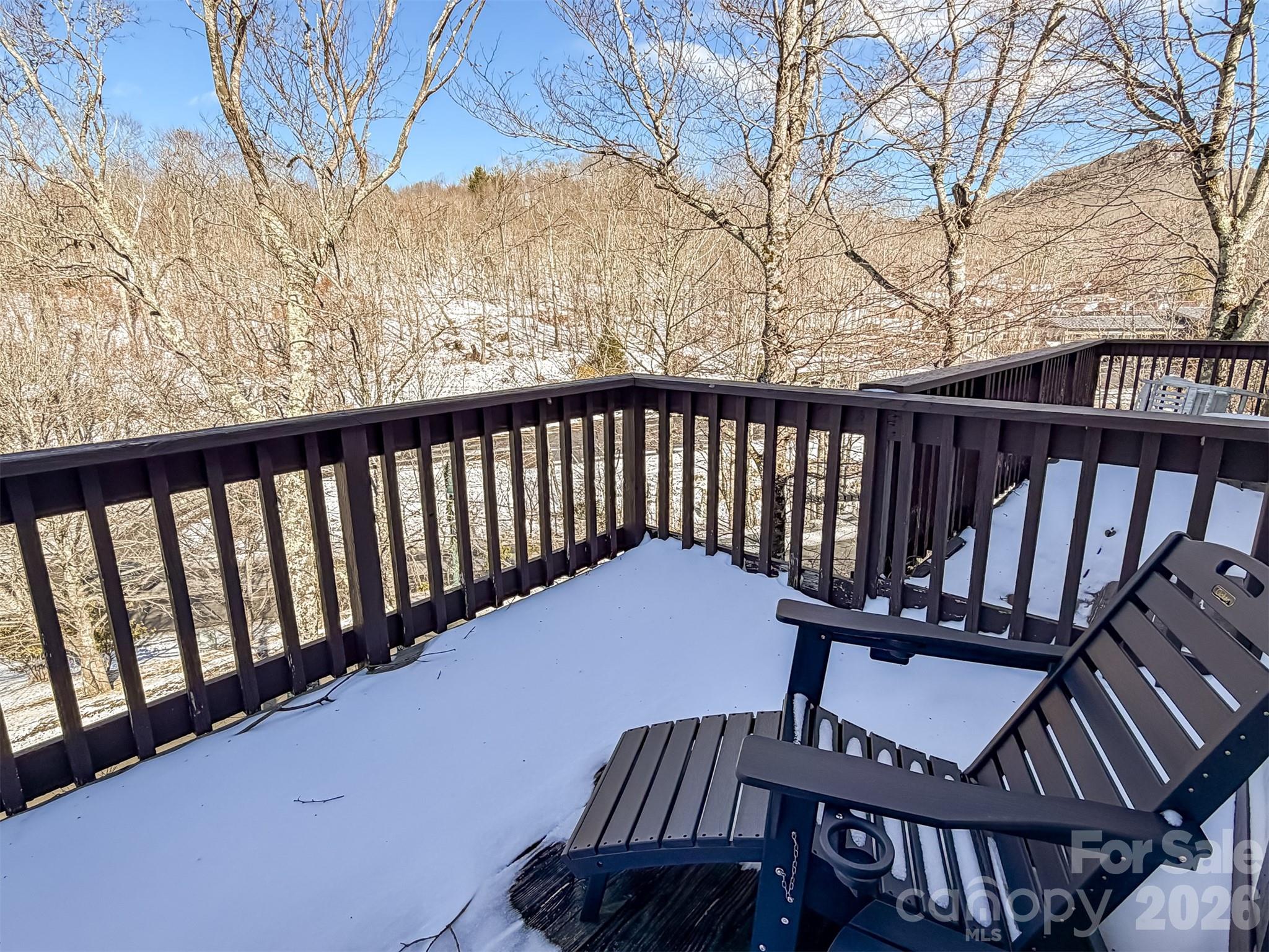174 Grouse Moor Drive Sugar Mountain NC 28604