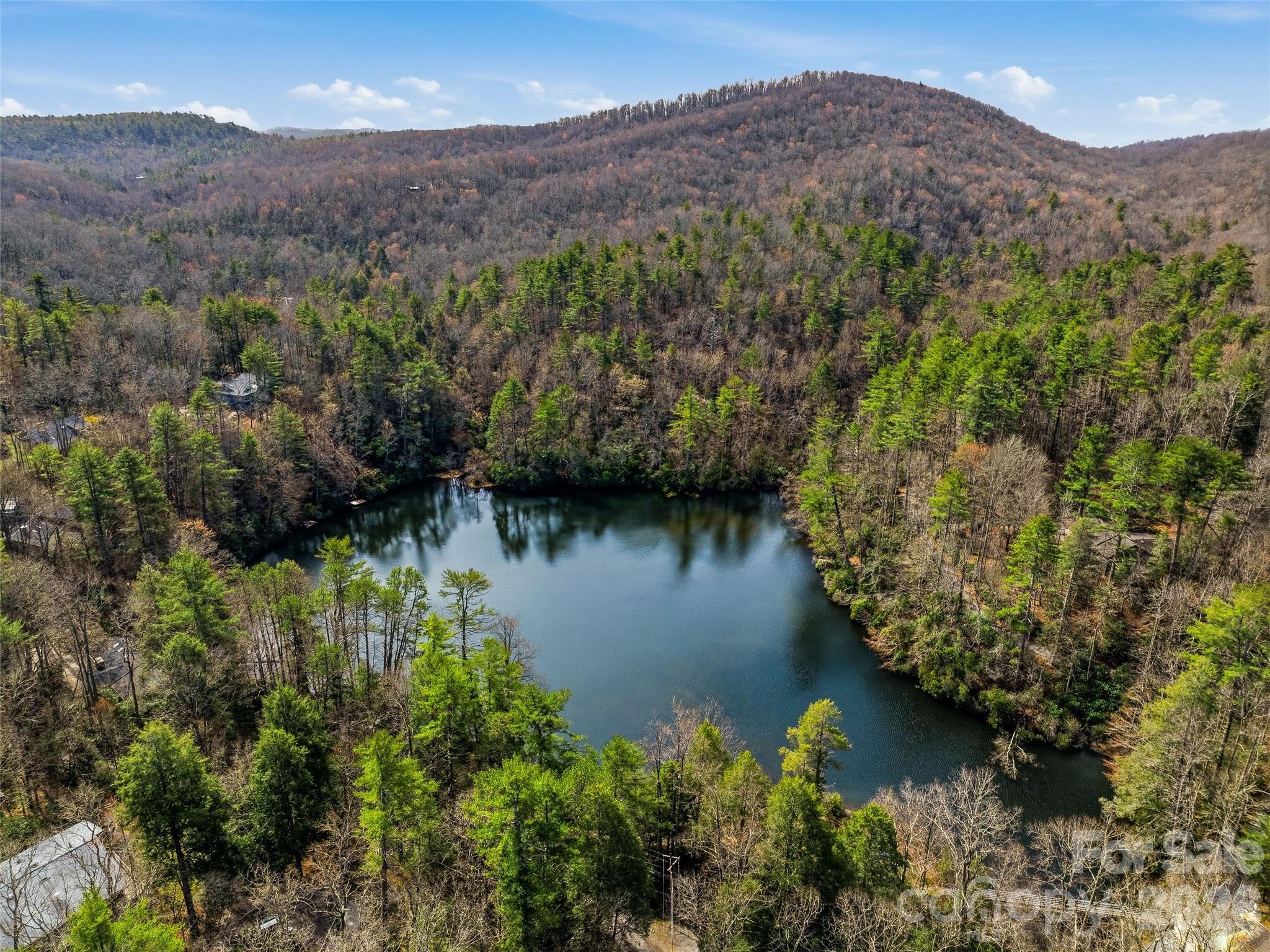15 Gold Finch Court Brevard NC 28712
