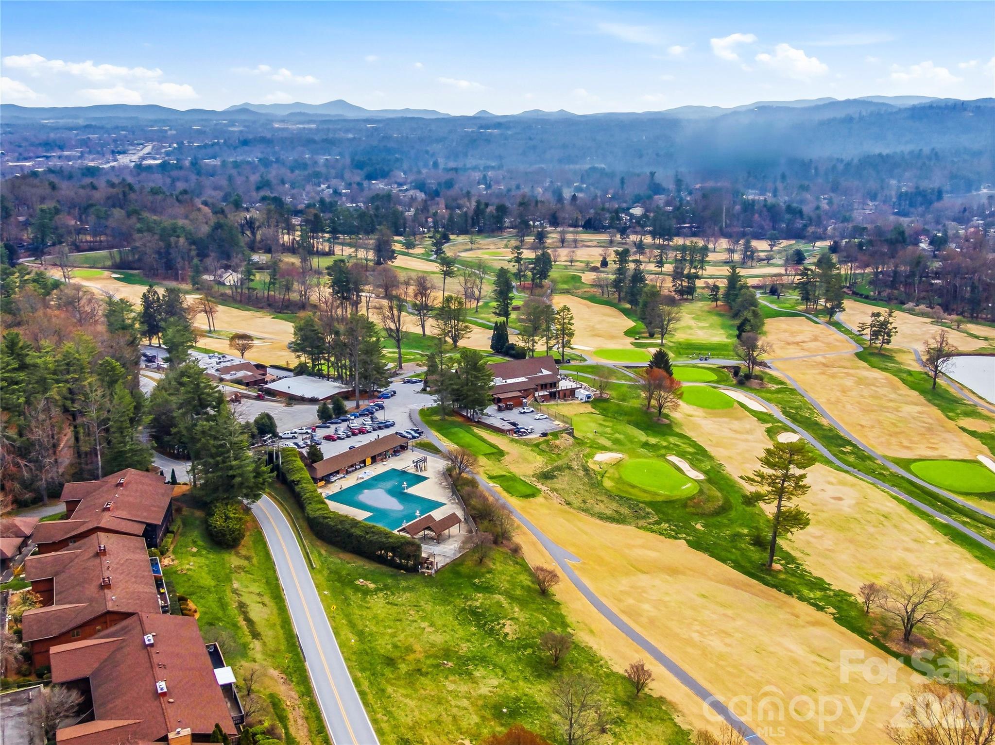 115 Bent Tree Drive Hendersonville NC 28739