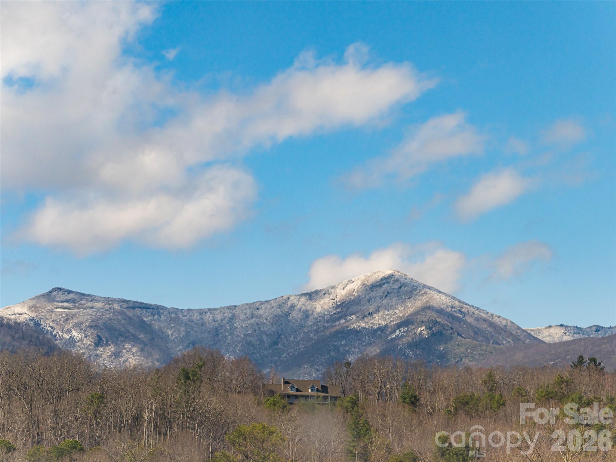 2F Lynx Drive Black Mountain NC 28711