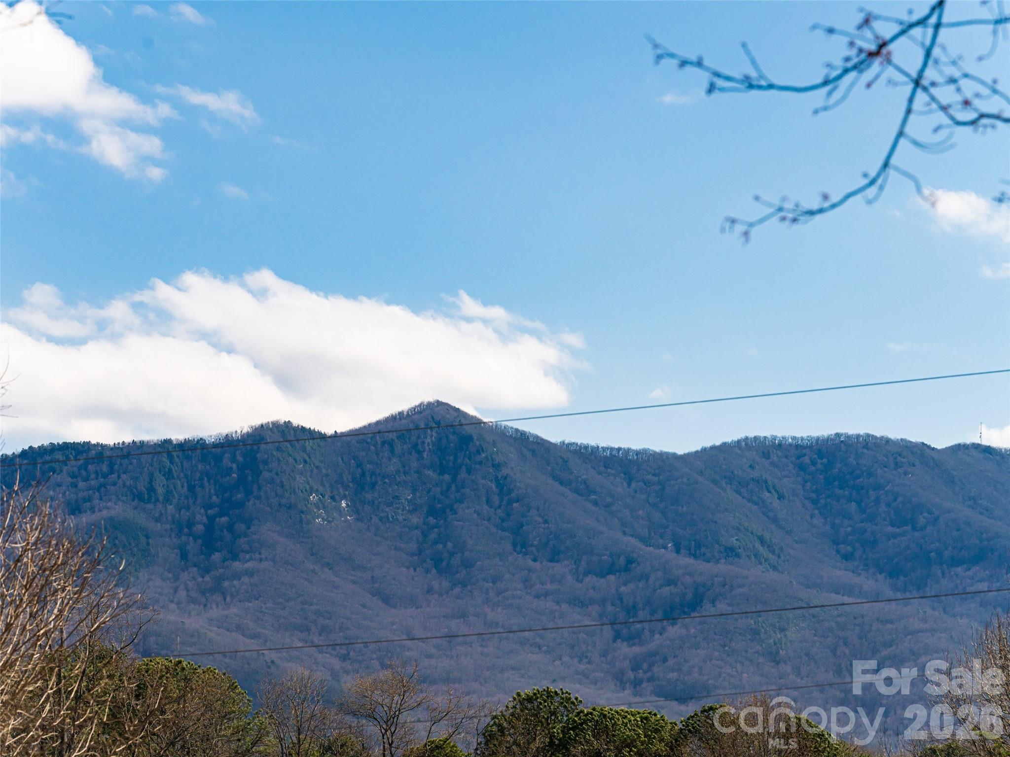 2F Lynx Drive Black Mountain NC 28711