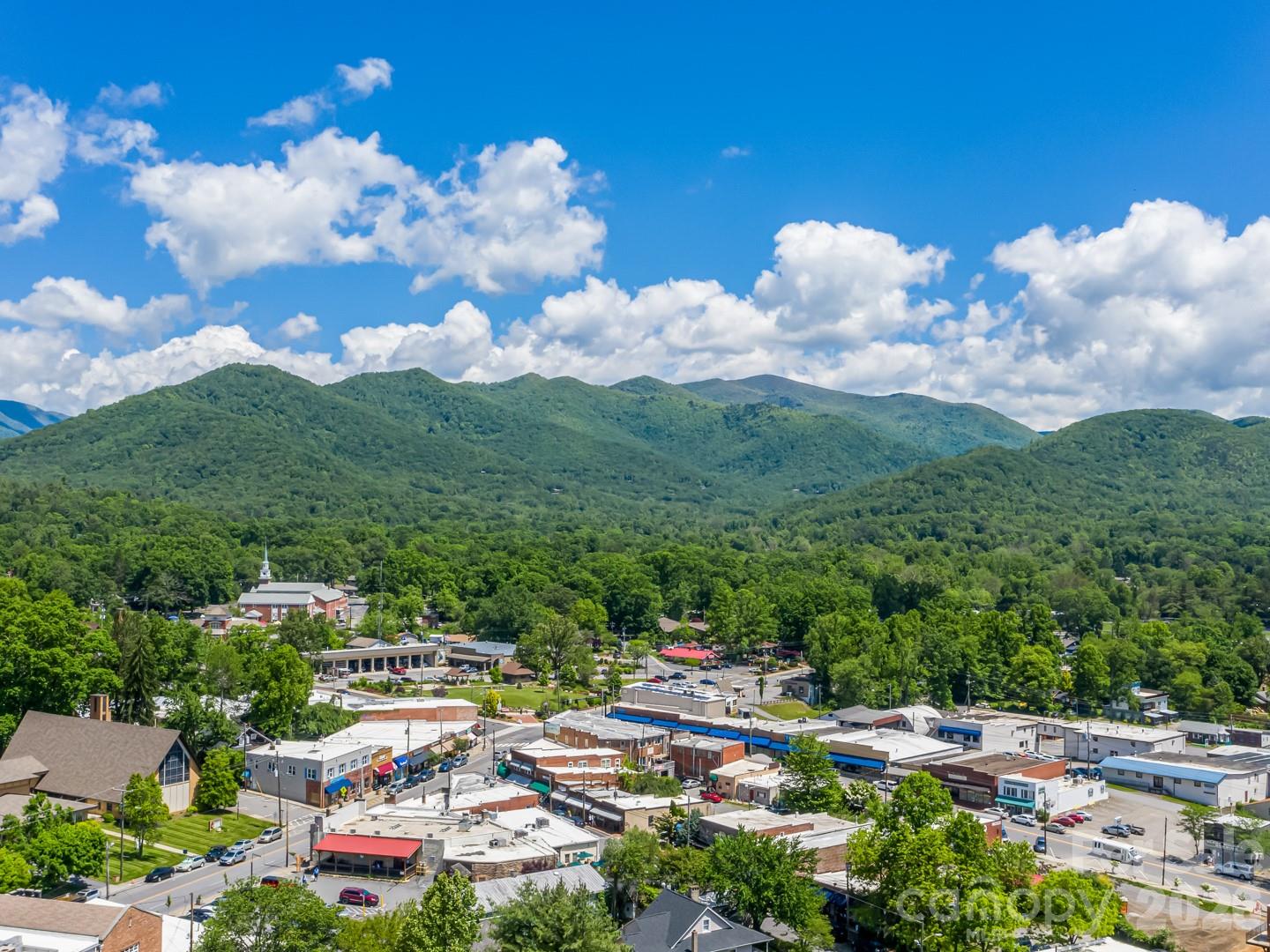 2F Lynx Drive Black Mountain NC 28711