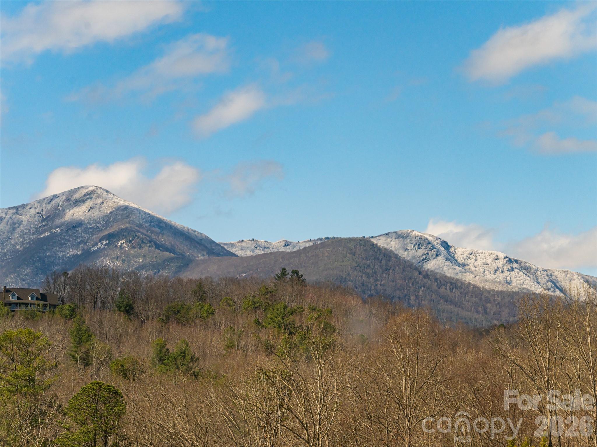2F Lynx Drive Black Mountain NC 28711