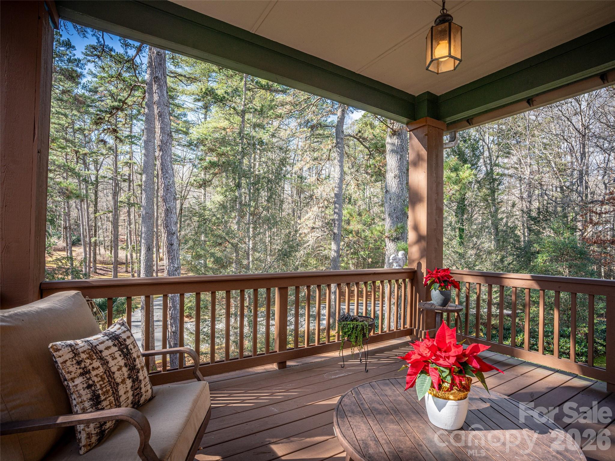 47 Ridgetop Circle Brevard NC 28712