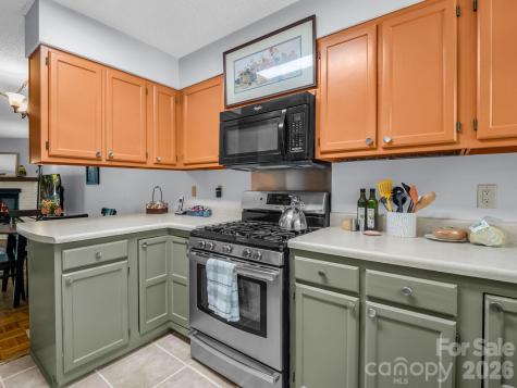 68 Lakeview Court Brevard NC 28712