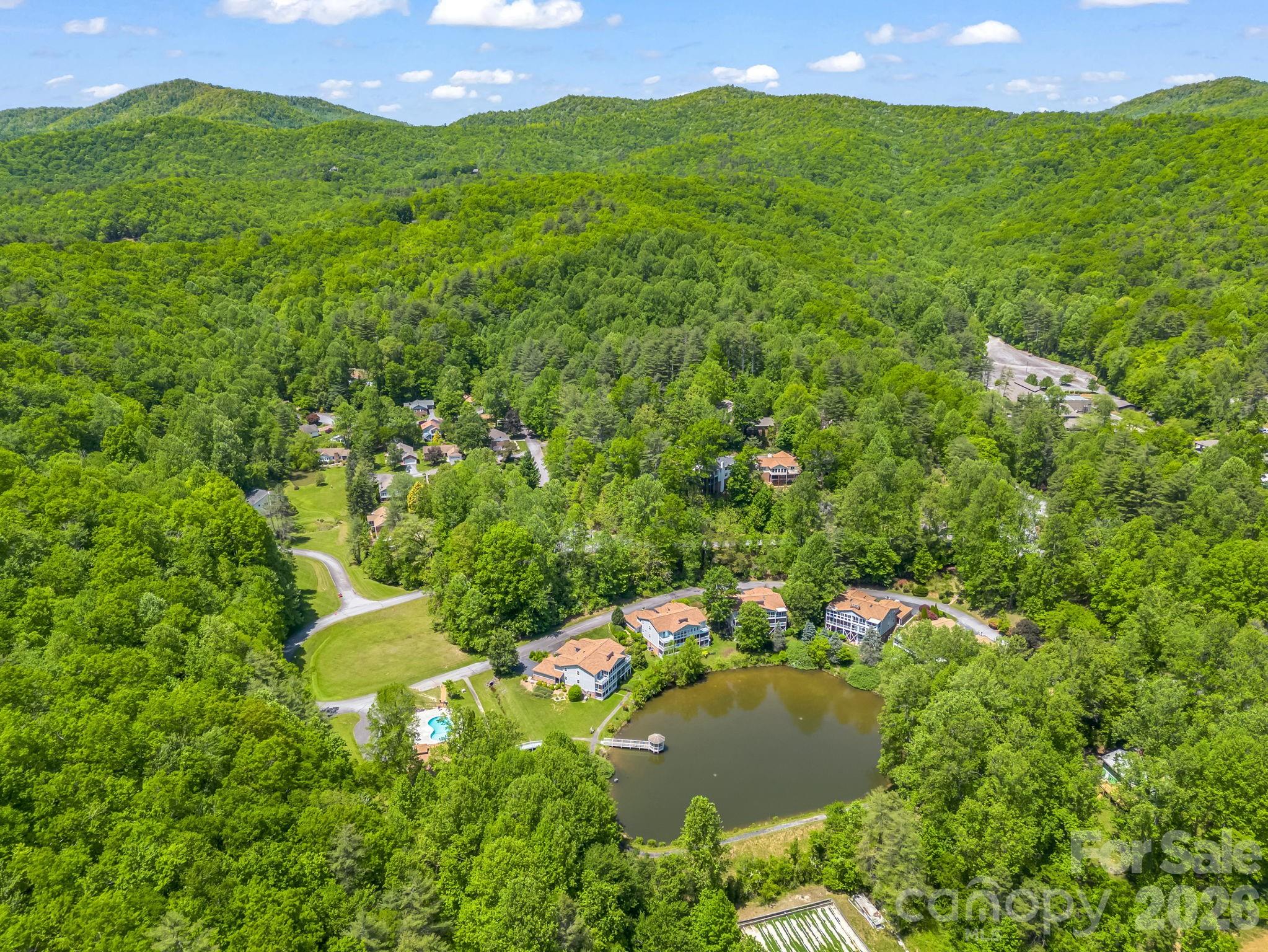 68 Lakeview Court Brevard NC 28712
